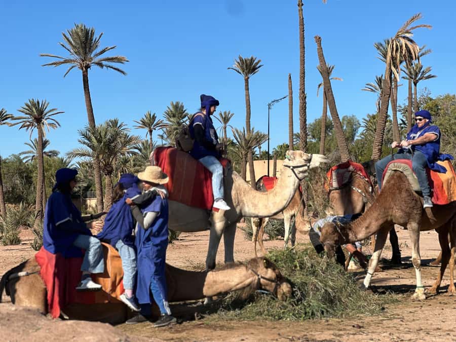 Marrakech: Quad Bike excursion at the sunset with Tea Break - Pickup from Marrakech and the transfer out
