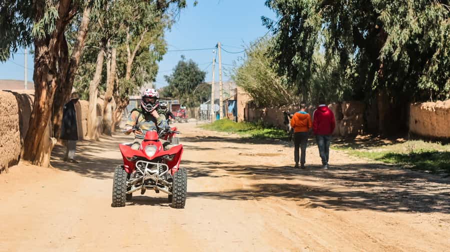 Marrakech Quad Bike Experience: Desert and Palmeraie - Key points to know before booking
