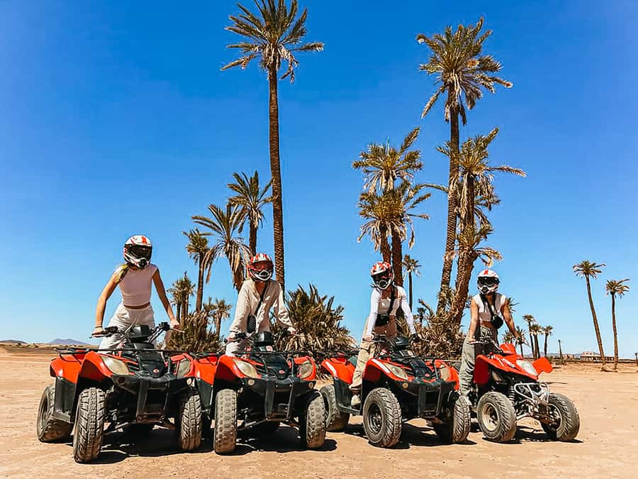 Marrakech: Quad Bike Tour to Palm Oasis and Jbilat Desert - Quick reasons to consider this Marrakech quad tour