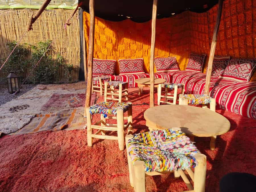Marrakech: Quad Bike Tour to Palm Oasis and Jbilat Desert - My call: book it if you want action without losing half a day