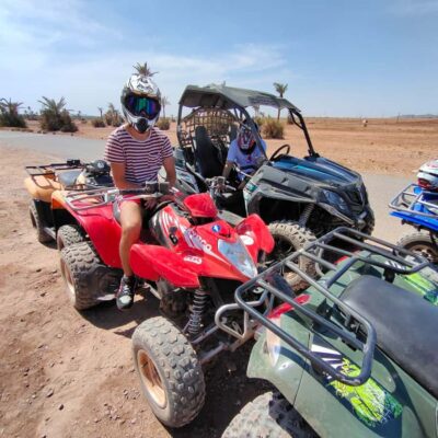 Quad Bike Tour to Palm Oasis and Jbilat Desert