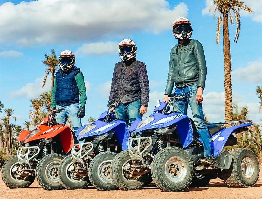 Marrakech: Quad Bike Tour to Palm Oasis and Jbilat Desert - Who will enjoy it most