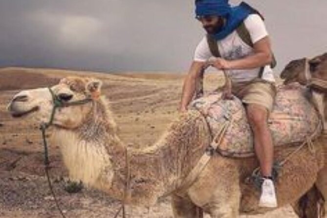 Marrakech: Quad & Camel Ride with Sunset, Dinner & Show - Who will enjoy this Marrakech evening most