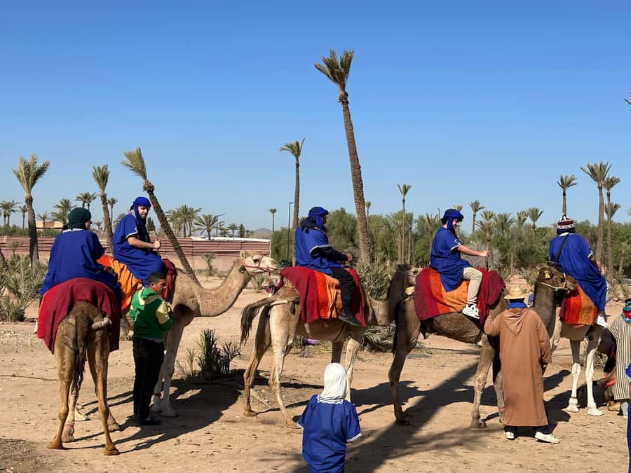 Marrakech:quad excursion at Jbilet desert with Moroccan tea - Is $17 a fair price?
