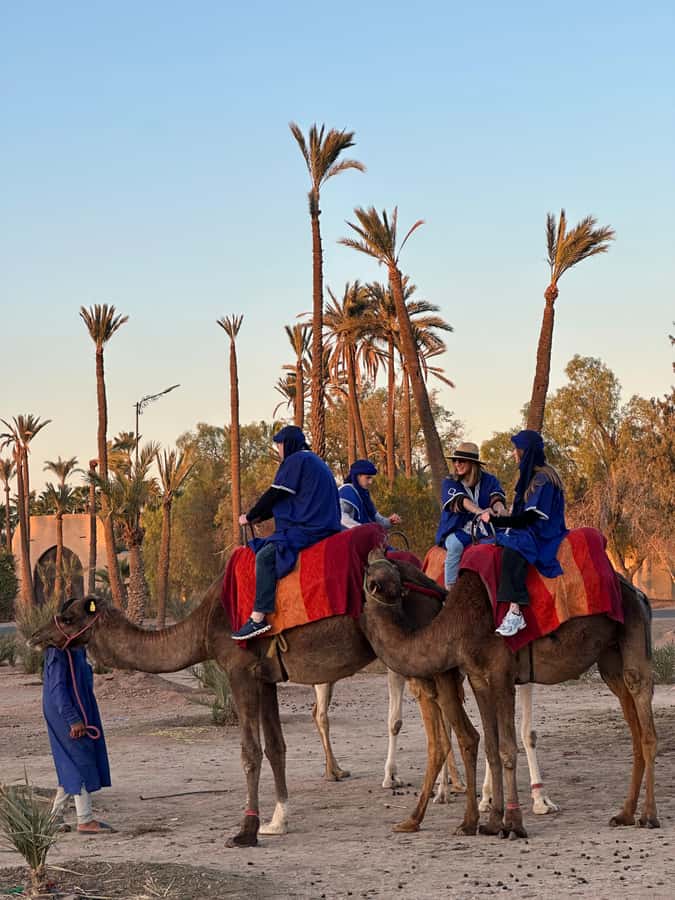 Marrakech:quad excursion at Jbilet desert with Moroccan tea - From Marrakech to the Jbilet desert