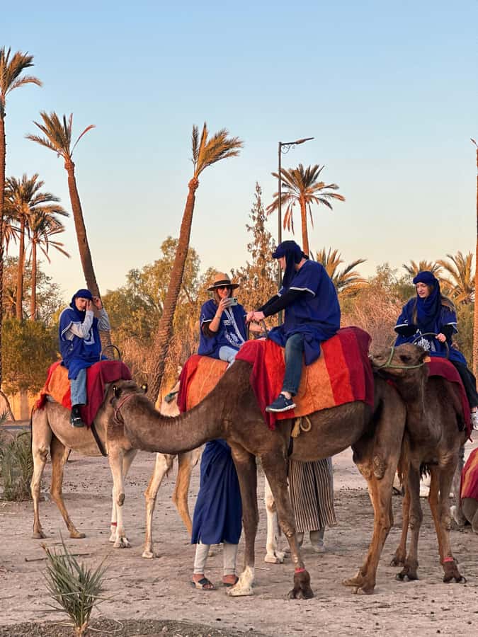 Marrakech:quad excursion at Jbilet desert with Moroccan tea - Two hours through the palm grove