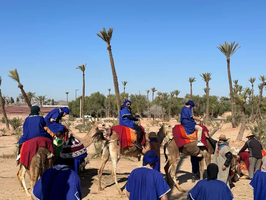 Marrakech:quad excursion at Jbilet desert with Moroccan tea - Tea, shade, and a slower pause
