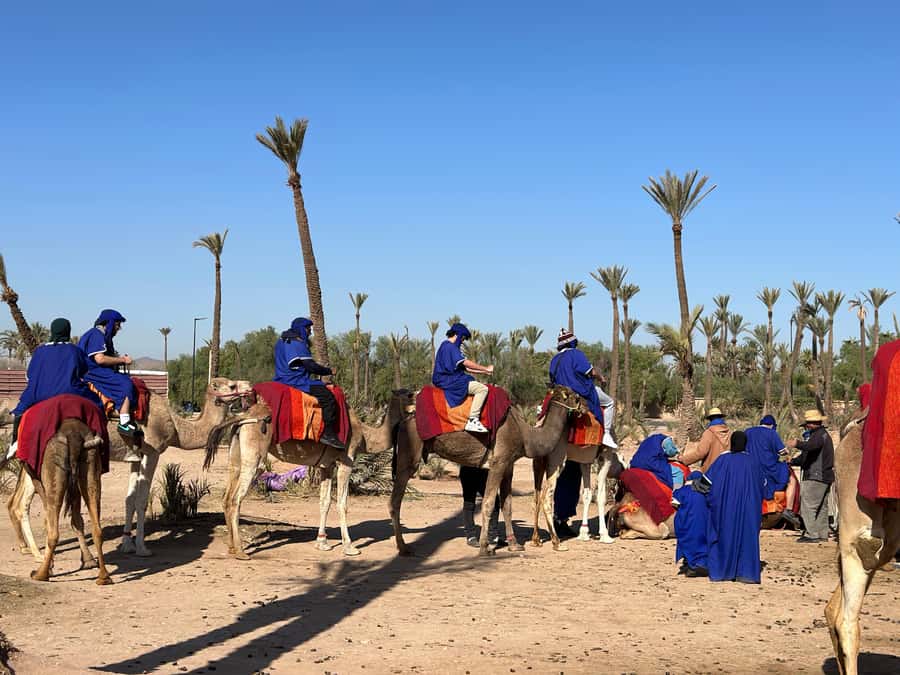 Marrakech:quad excursion at Jbilet desert with Moroccan tea - How the quad arrangement affects your day