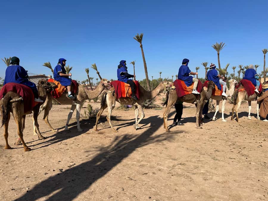 Marrakech:quad excursion at Jbilet desert with Moroccan tea - What to wear and bring