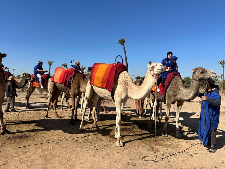 Marrakech:quad excursion at Jbilet desert with Moroccan tea - Getting started on the quad