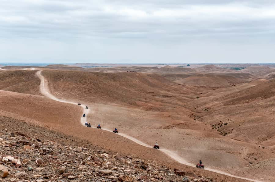 Marrakech: Quad Tour in Jbilets Desert with Palm Grove - Riding the Jbilets desert for about one hour