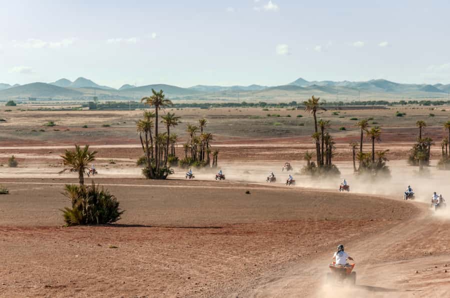 Marrakech: Quad Tour in Jbilets Desert with Palm Grove - The minivan transfer from Marrakesh
