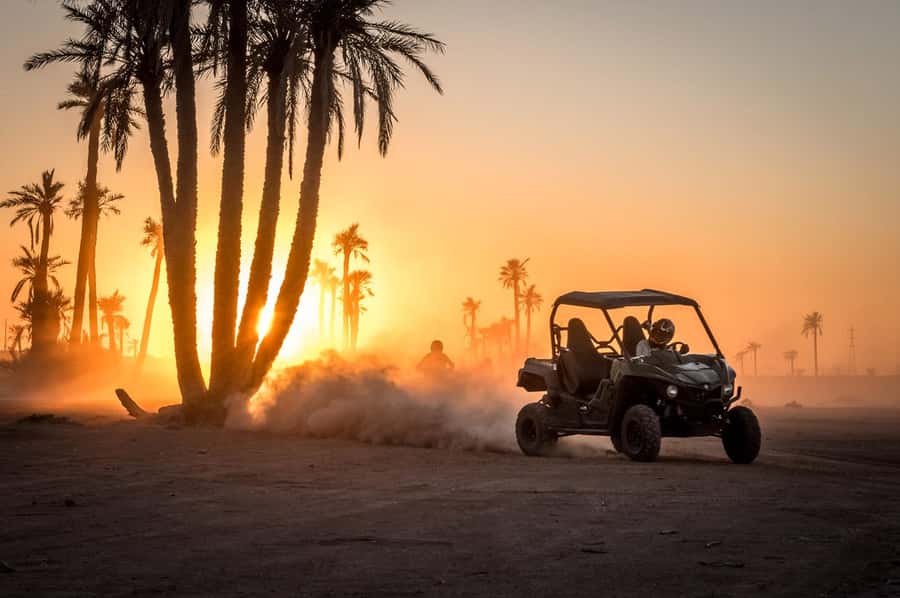 Marrakech : Ride buggy in the desert of the palm grove - Two hours among palms, villages, and dry open ground