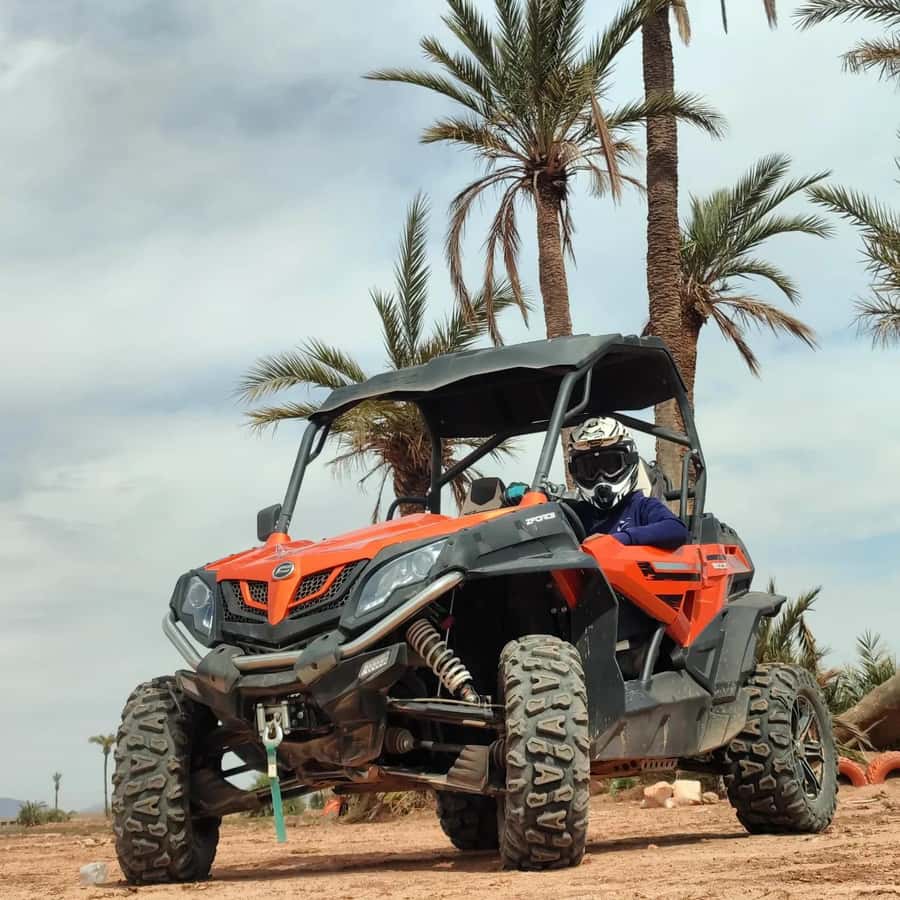 Marrakech : Ride buggy in the desert of the palm grove - Who will enjoy this most
