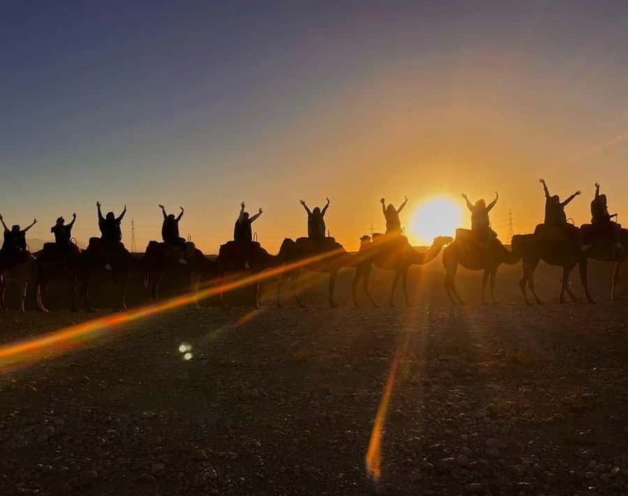 Marrakech: Sunrise Desert Tour with Camel Ride and Breakfast - A practical plan for the morning