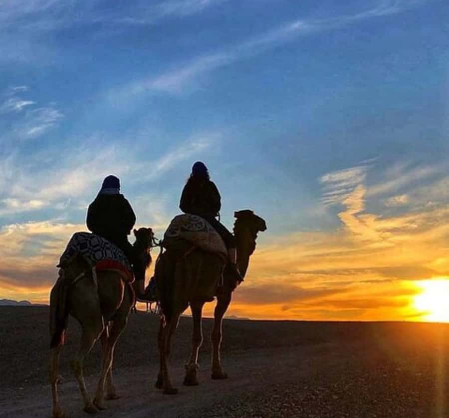 Marrakech: Sunrise Desert Tour with Camel Ride and Breakfast - Leaving Marrakech before dawn