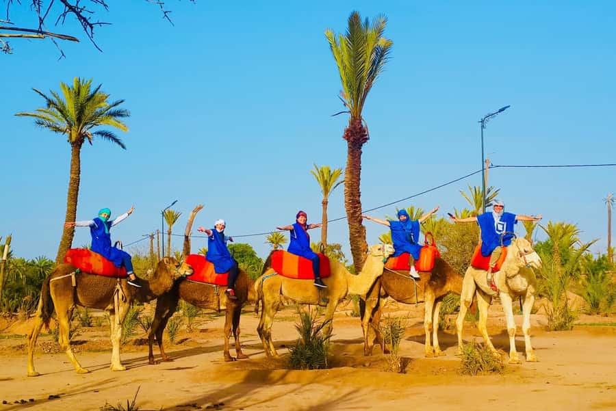 Marrakech: Sunset Camel Ride in Palmeraie - Key points at a glance