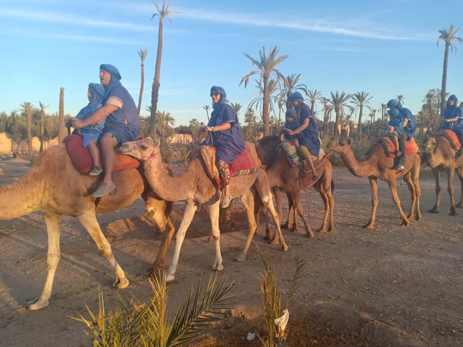 Marrakech: Sunset Camel Ride in the Palmeraie - What this Marrakech camel ride really offers