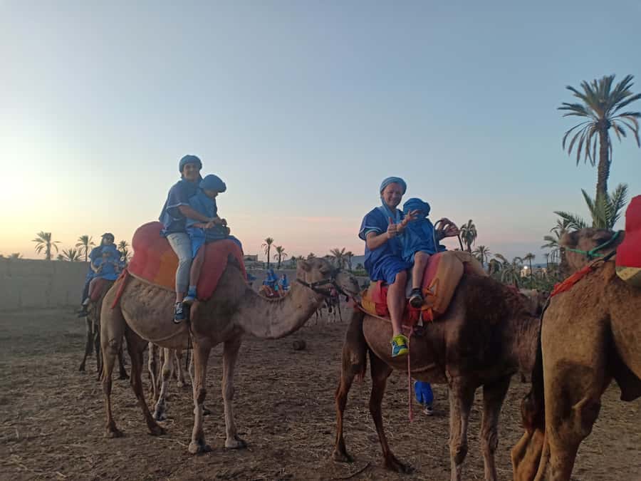 Marrakech: Sunset Camel Ride in the Palmeraie - French and English guidance