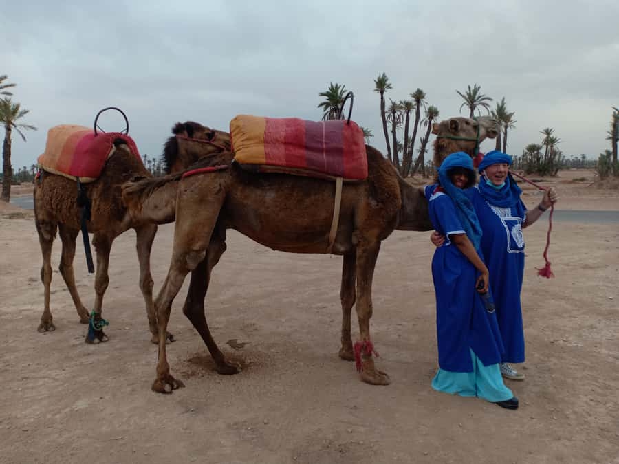 Marrakech: Sunset Camel Ride in the Palmeraie - Pickup from your Marrakech hotel or riad