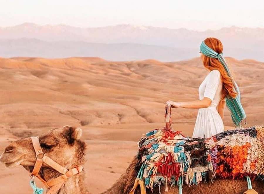 Marrakech: Sunset Dinner in Agafay Desert with Camel Ride - Leaving Marrakech for Agafay’s open hills