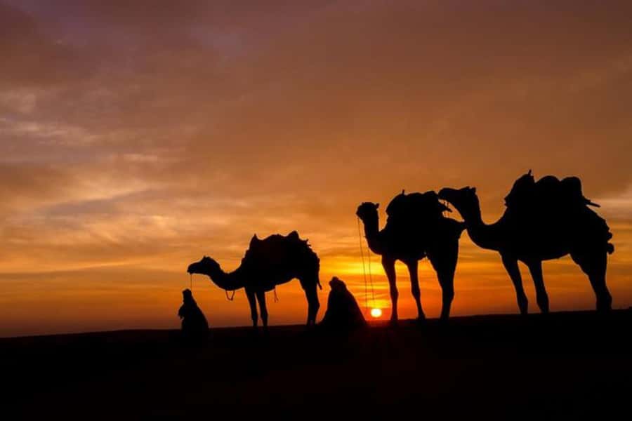 Marrakech: Sunset Dinner in Agafay Desert with Camel Ride - Berber music and the fire show