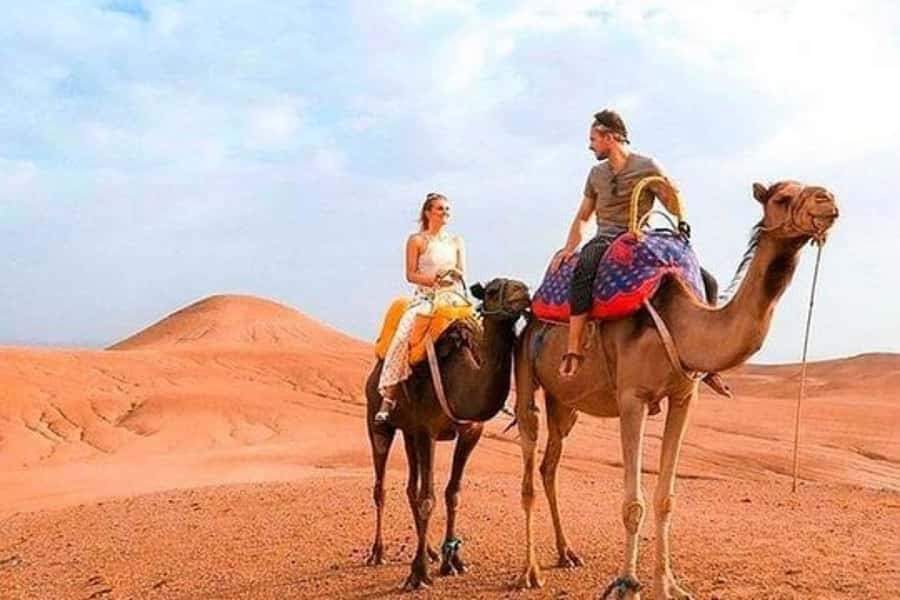 Marrakech: Sunset Dinner in Agafay Desert with Camel Ride - What to pack for a comfortable evening