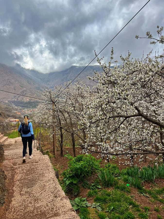 Marrakech: Tedli Summit Atlas Mountains Day Hike & Lunch - Leaving Marrakech for the High Atlas