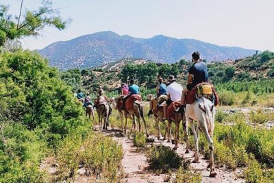 Marrakech to Atlas Mountains and 4 Valleys Day Trip