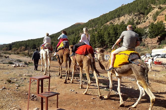 Marrakech to Atlas Mountains and 4 Valleys Day Trip - Tnine Ourika and the Monday market