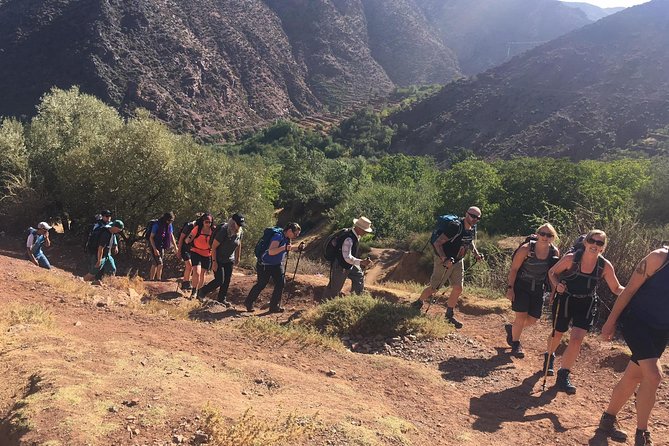 Marrakech to Atlas Mountains and 4 Valleys Day Trip - What the $92.92 price includes