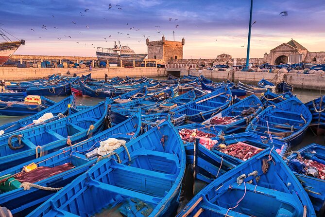 Marrakech to Essaouira: Day of Discovery Along Morocco Coastal - Key points to know before you go