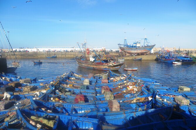 Marrakech to Essaouira: Day of Discovery Along Morocco Coastal - Who will enjoy this day most