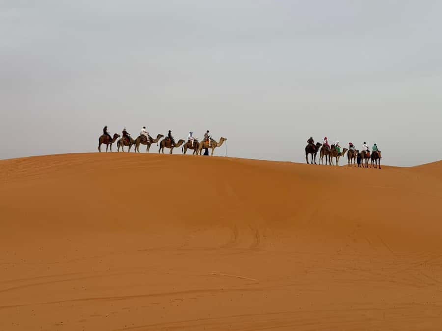 Marrakech To Fes: 3-Day Majestic Desert Sahara Tour - Sunset, dinner, and a cold desert night