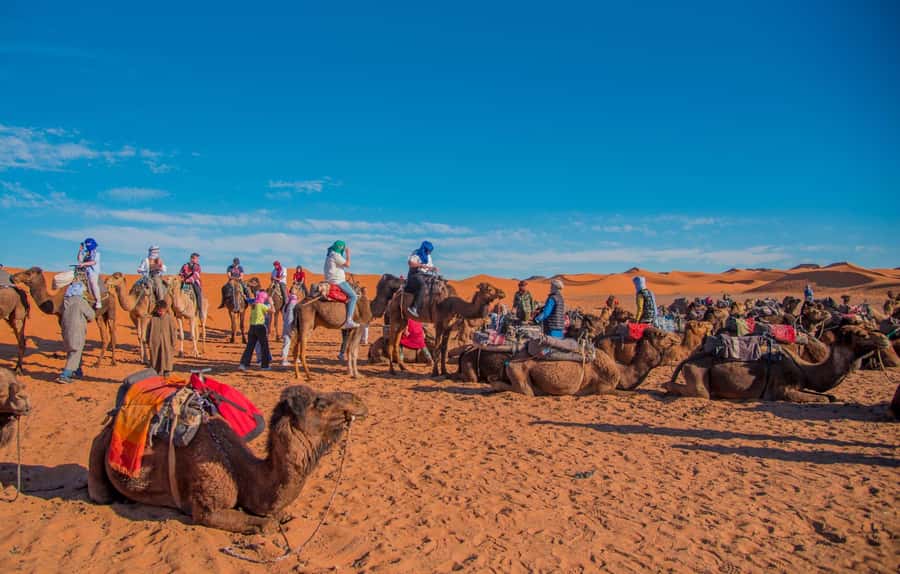 Marrakech to Fes: 3-Day Merzouga Desert Camel & Sandboarding - Why the Marrakech to Fes route works