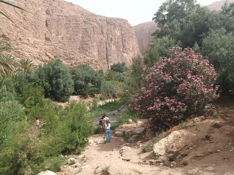 Marrakech to Fes 3-Day Sahara Desert Tour - Day 3: Sunrise, the Ziz Valley, and the long run to Fes