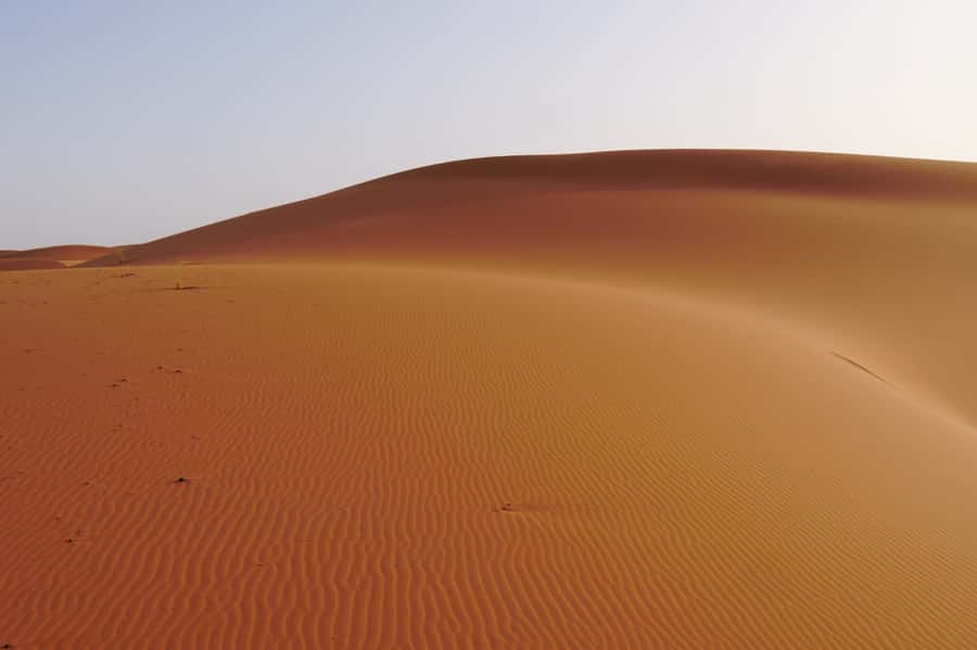 Marrakech to Fes 3-Day Sahara Desert Tour - The minivan, group size, and driver support