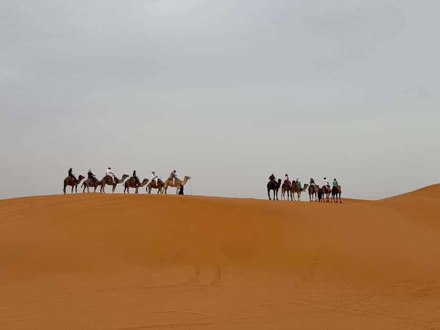 Marrakech to Fes 3-Day Sahara Desert Tour - Day 1: Marrakech to Ait Ben Haddou and the Dades Valley
