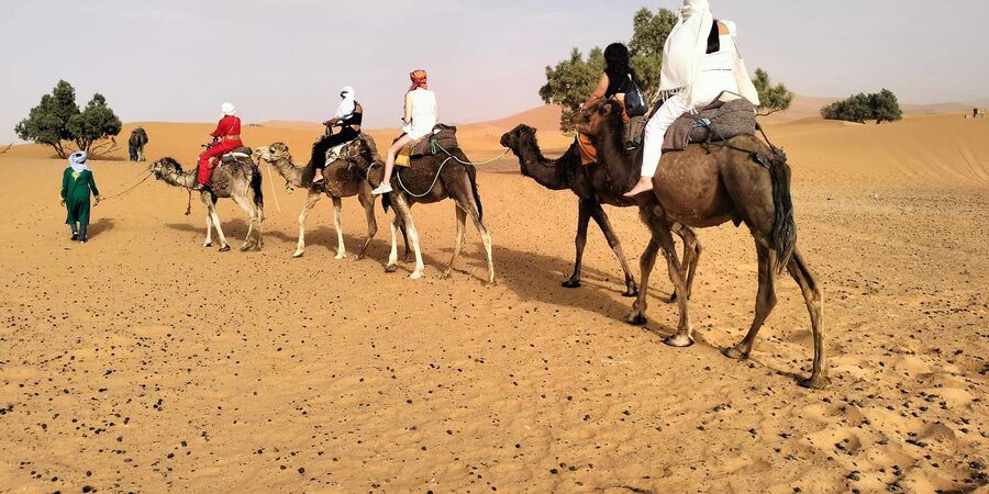 Marrakech to Fes 3 Days Sahara Desert Tour With Camel & Quad - Who should choose this desert tour