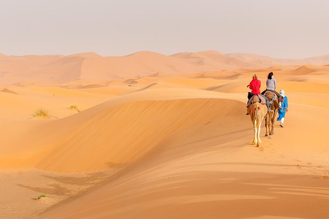 Marrakech to Fez via Merzouga Desert 3-Days Sahara Tour - The real appeal: crossing Morocco instead of retracing your steps
