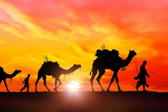 Marrakech to Merzouga Desert 3-Day via the High Atlas Mountains - Camel riding into Erg Chebbi
