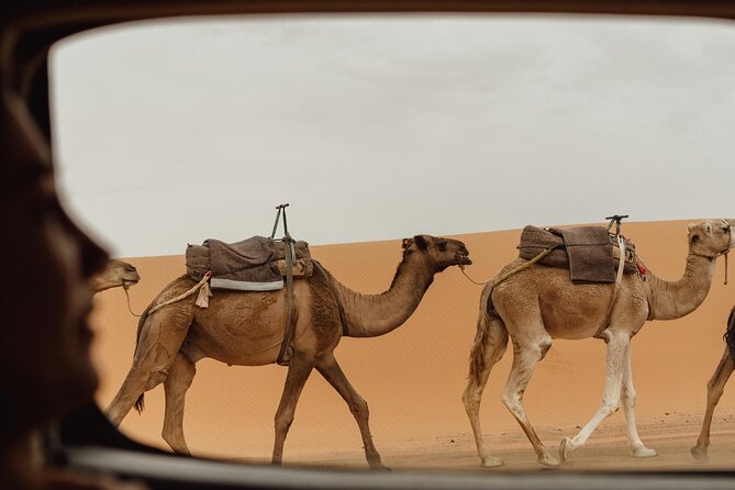 Marrakech To Merzouga Tour - Key things to know before booking