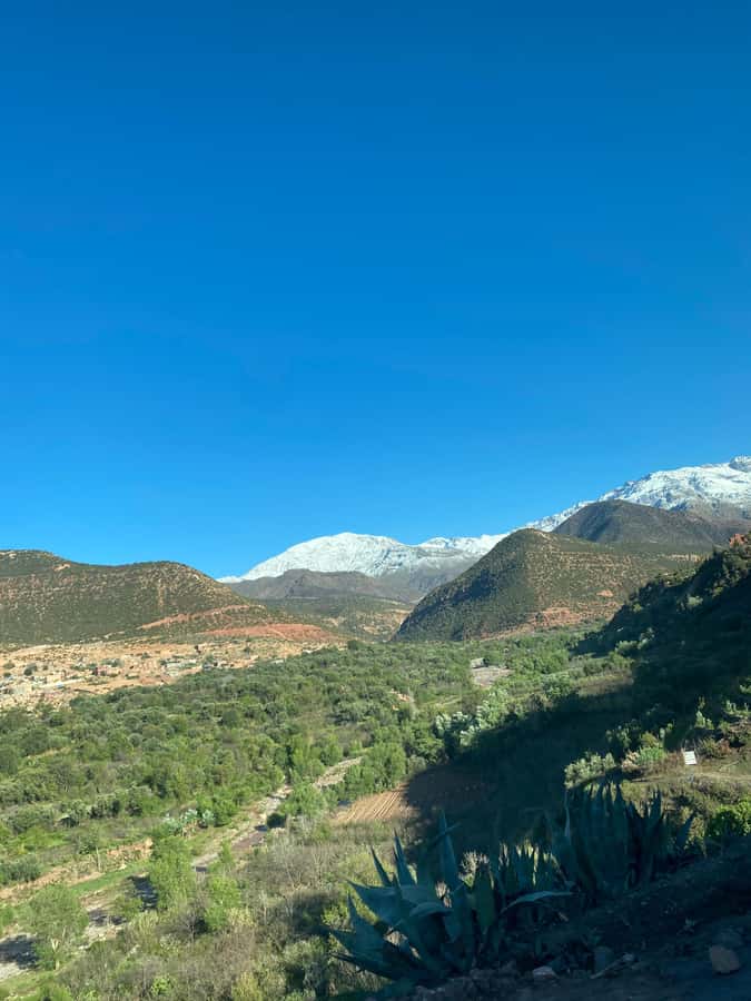 Marrakech to Ourika Valley-Scenic Day Tour Lunch & Waterfal - Time by the river and the return to Marrakech