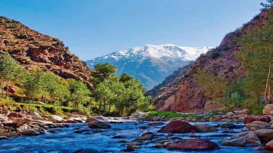 Marrakech to Ourika Valley-Scenic Day Tour Lunch & Waterfal - Tea and daily life in a Berber home