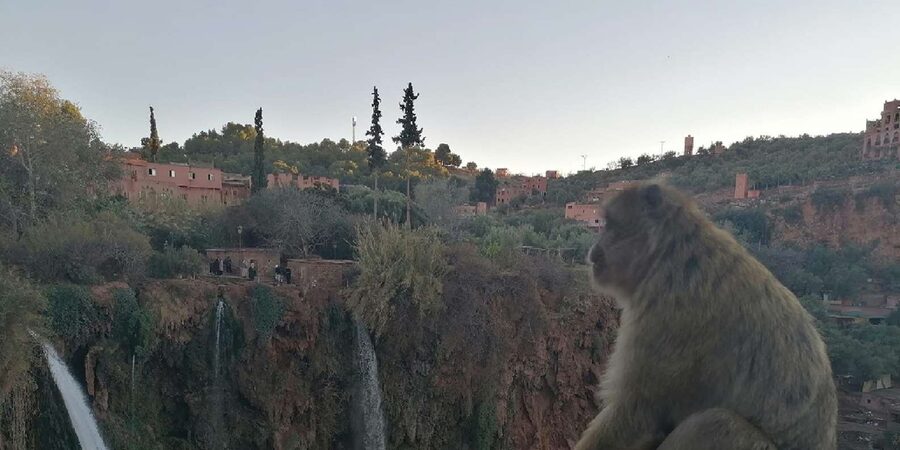 Marrakech to Ouzoud waterfalls day tour - Guide & boat ride - Meeting the Barbary apes