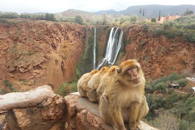 Marrakech To Waterfalls Ouzoud Day trip - The 8:00 am departure from Marrakech