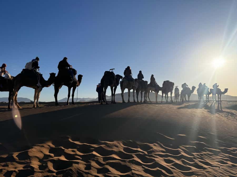 Marrakech to Zagora:2-Day Luxury Sahara Tour with Camel Ride - Key points before you book