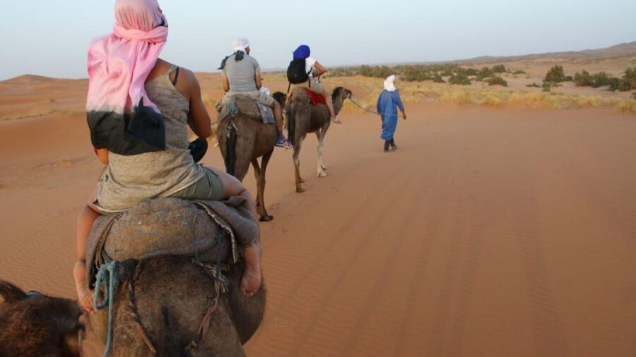 Marrakech to Zagora:2-Day Luxury Sahara Tour with Camel Ride - Who should choose this Zagora trip?