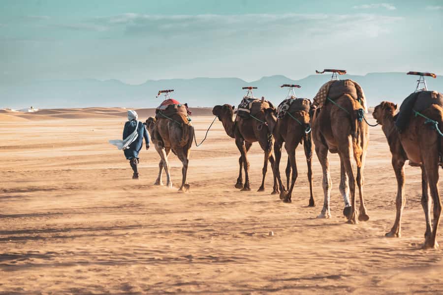 Marrakech to Zagora Desert: 2-Day trip via Ait Benhadou - From Marrakech to the High Atlas