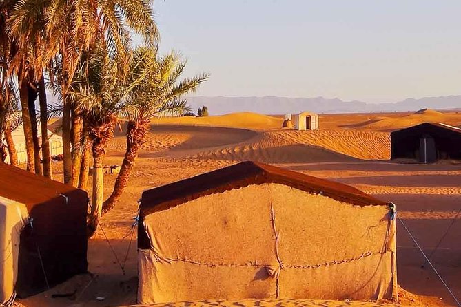 Marrakech to Zagora Tour- Marrakech Desert Tour 2 Days - What the two days really involve